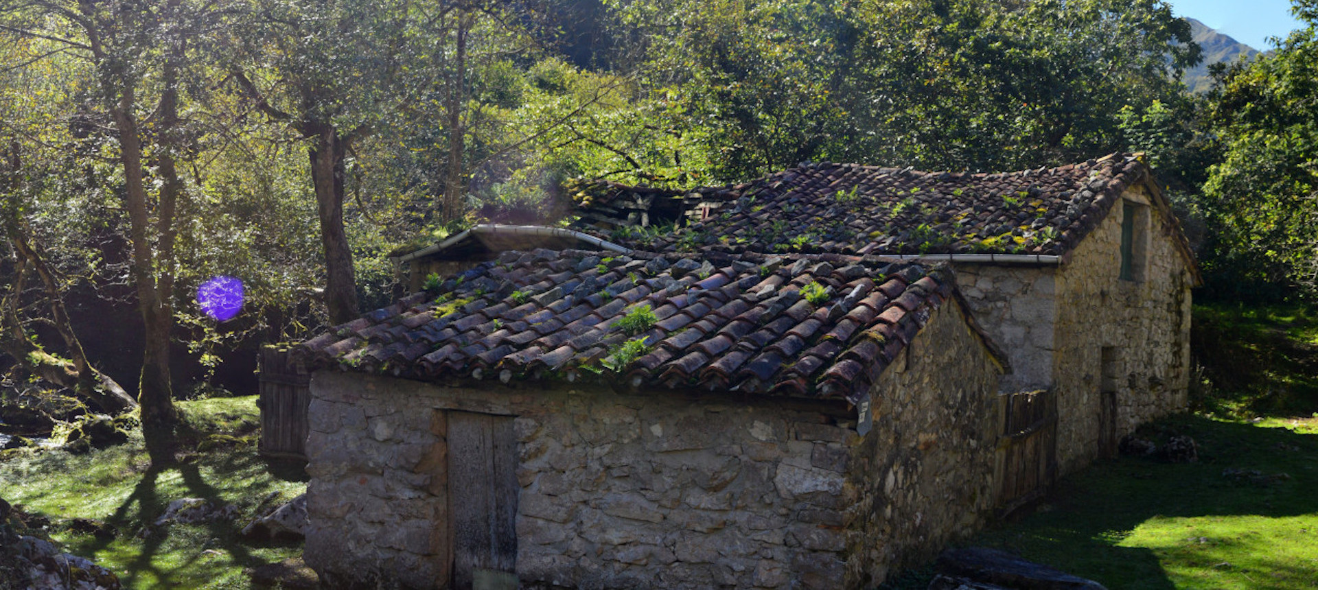 Planifica