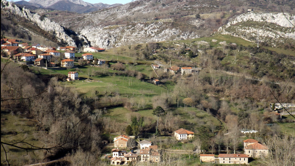 Berodia