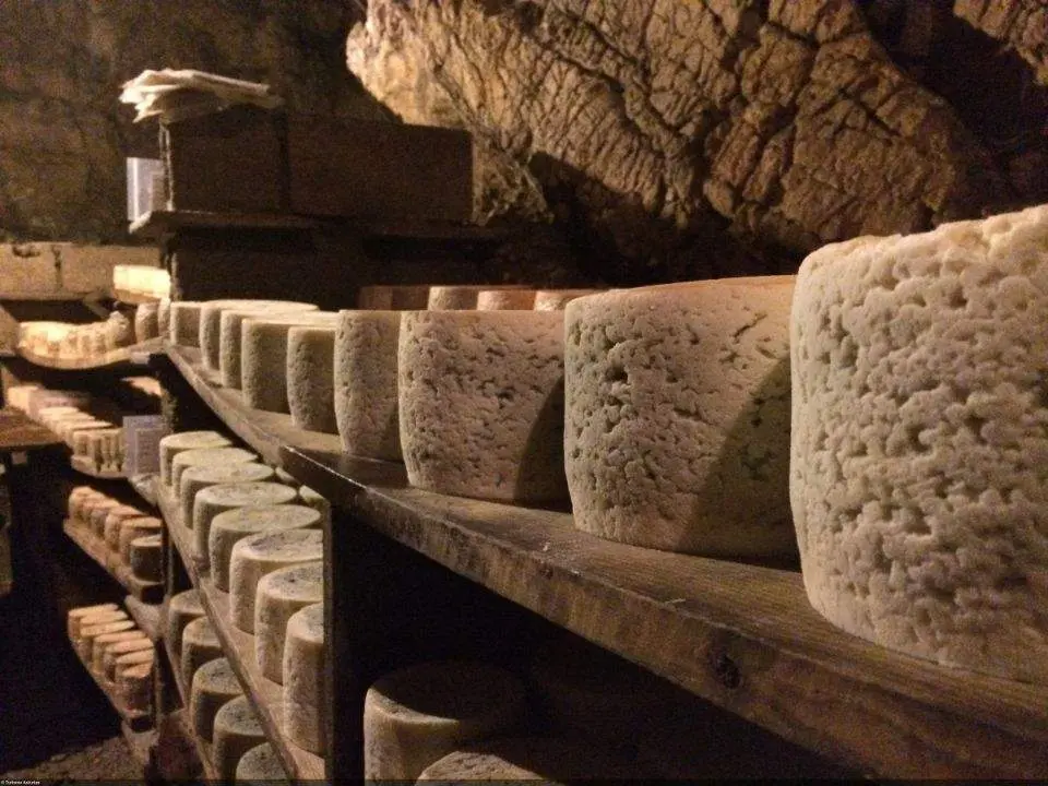 Queso de Cabrales