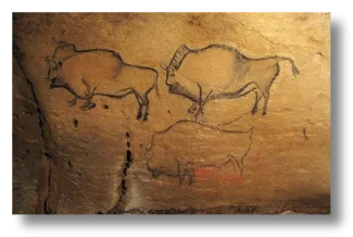 panel_principal_covaciella